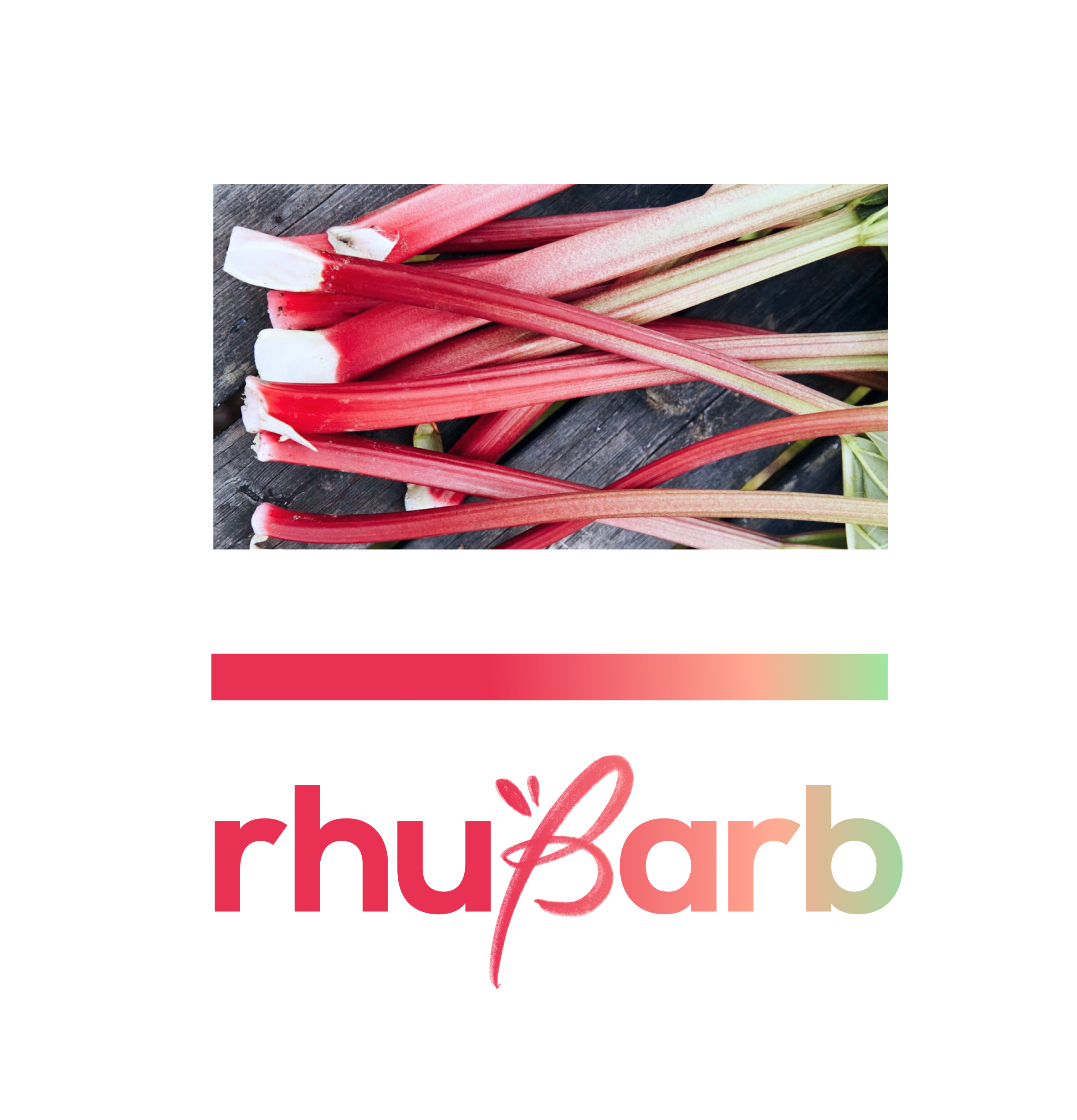 Rhubarb logo